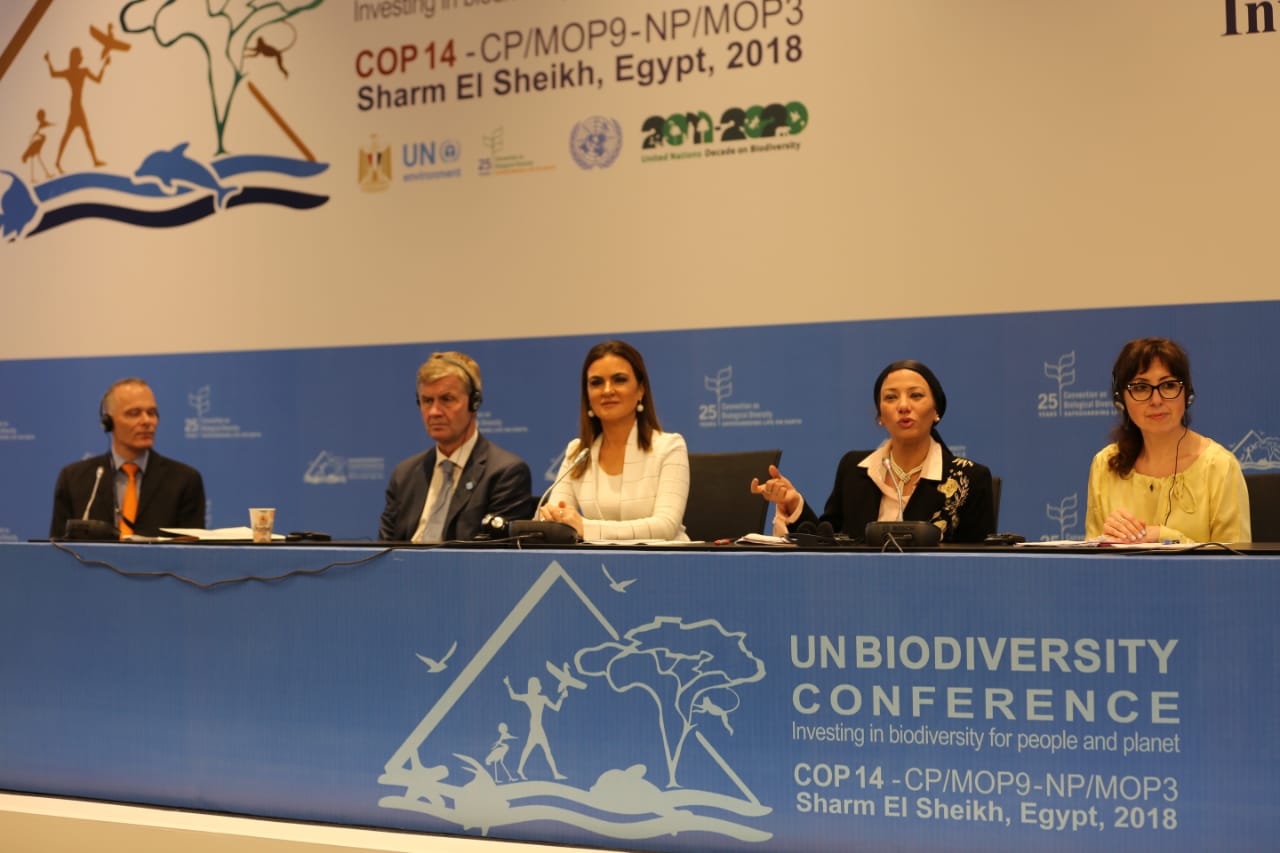 صورة من الحدث 