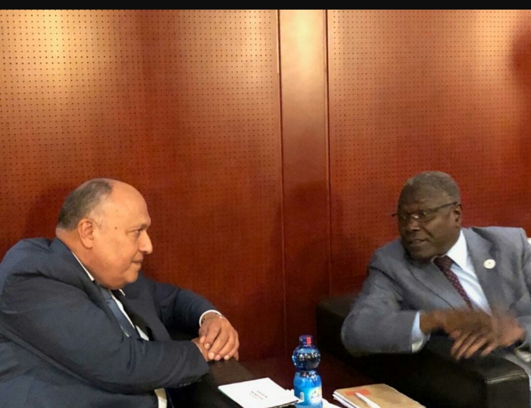 وزير الخارجية ونظيره من النيجر خلال اللقاء