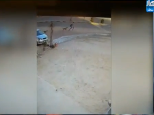 صورة من الحدث 