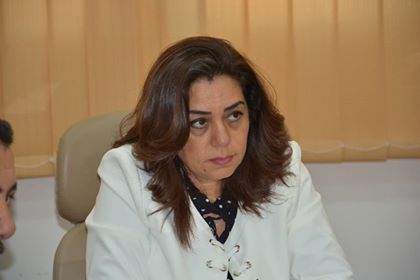 محافظ دمياط 