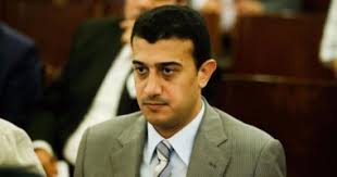 النائب طارق الخولي