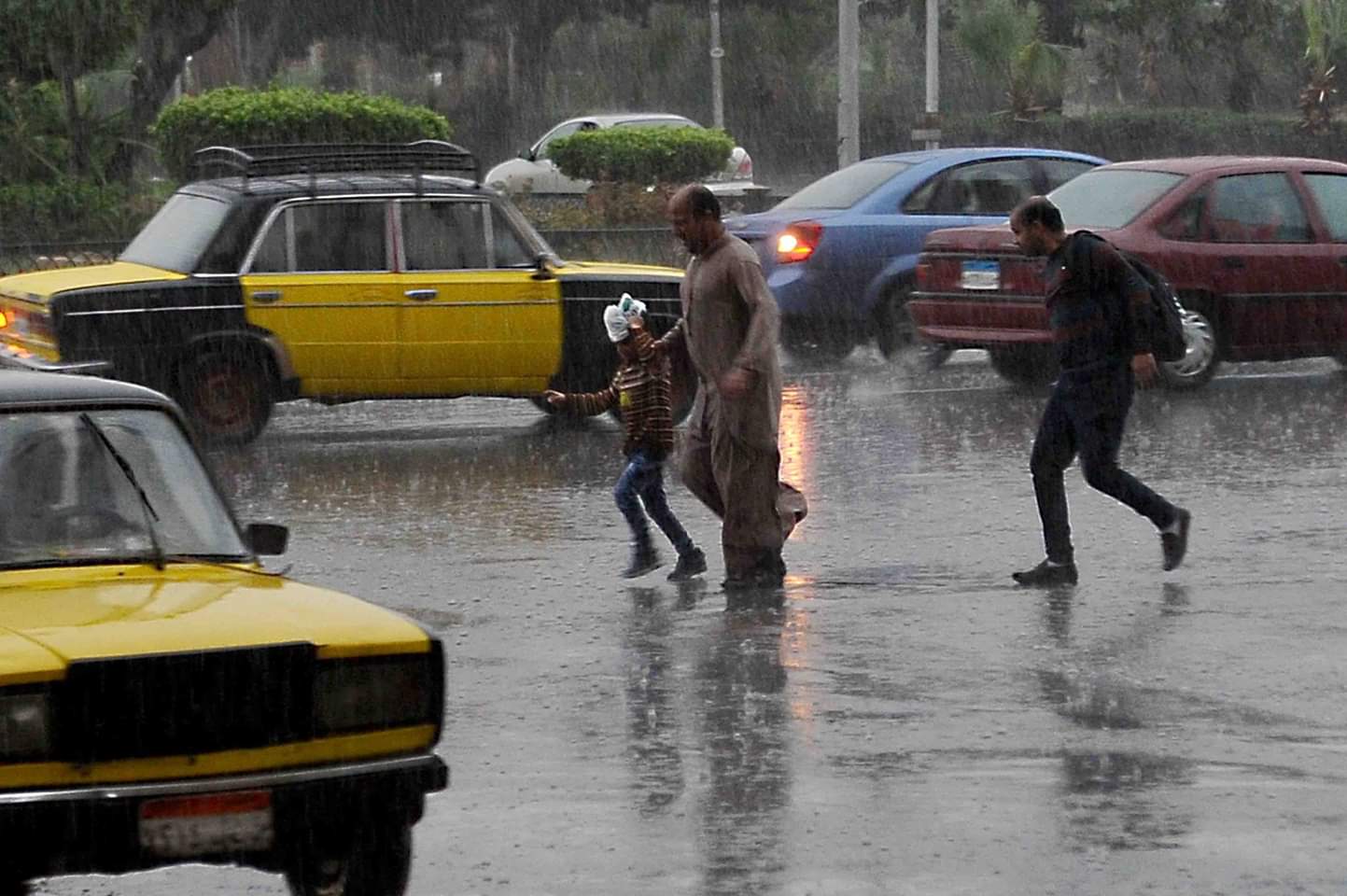 أمطار غزيرة تهطل على أنحاء متفرقة من الإسكندرية
