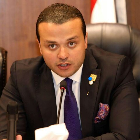 المهندس محمد الجارحى