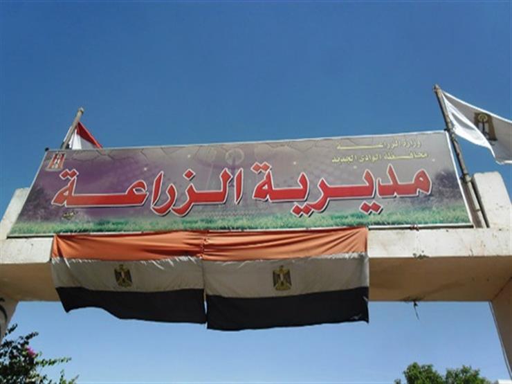 زراعة الوادي الجديد