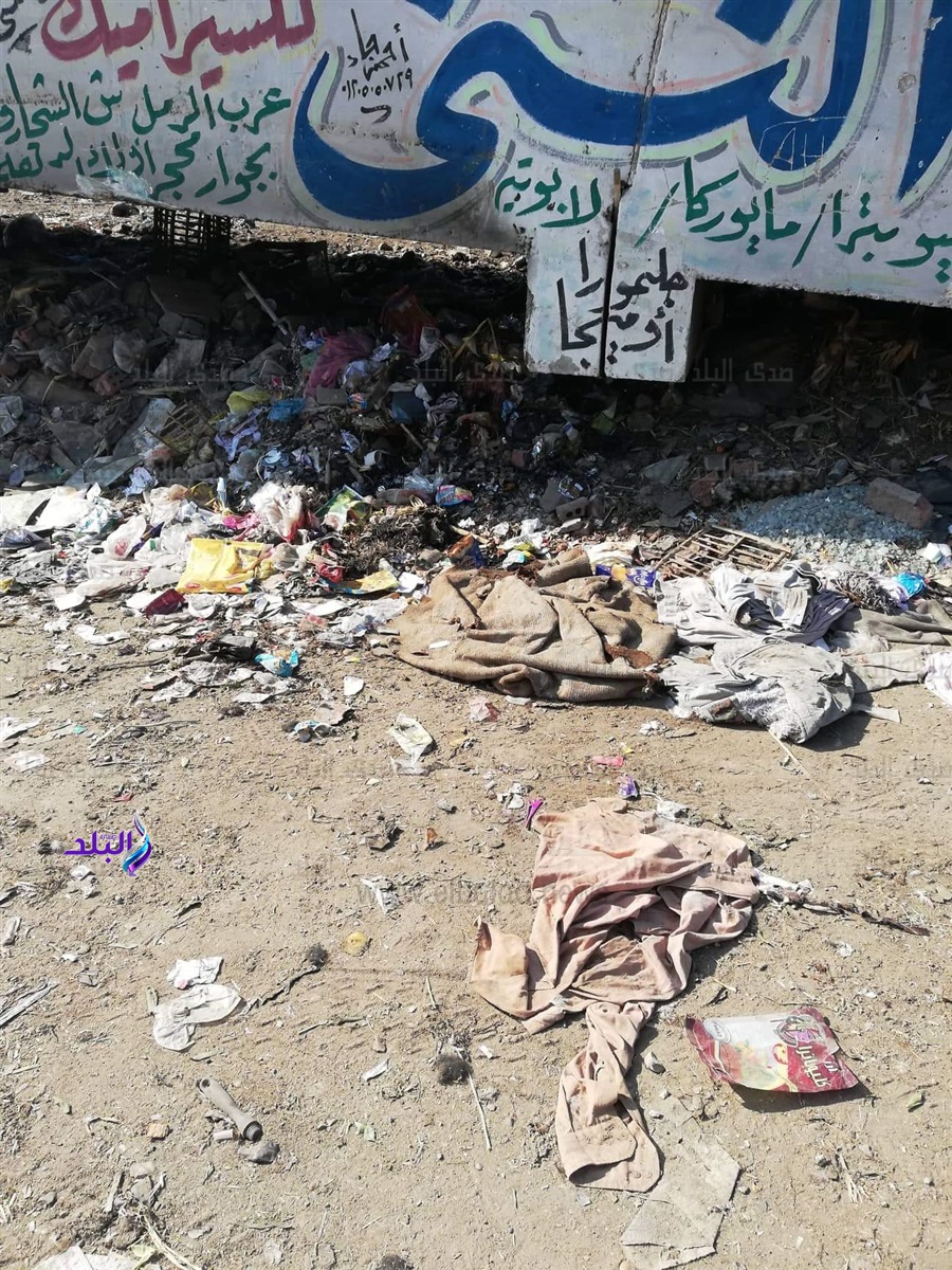 القمامة تملي شوارع قرية عرب الرمل بالمنوفية القمامة تملي شوارع قرية عرب الرمل بالمنوفية