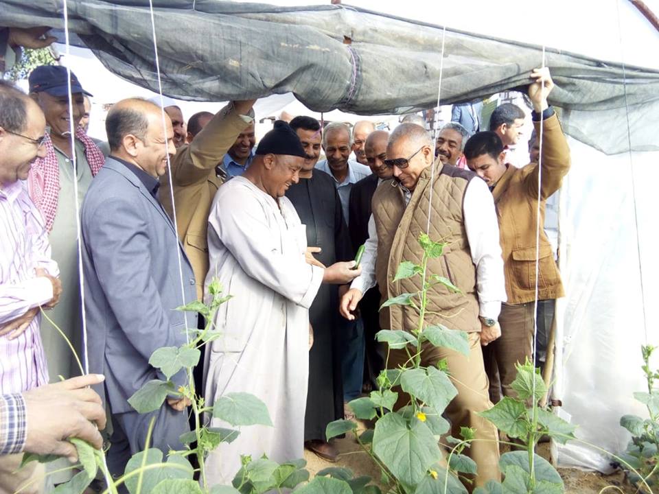 محافظ الوادى الجديد يتفقد مشروعات الصوب الزراعية بالراشدة