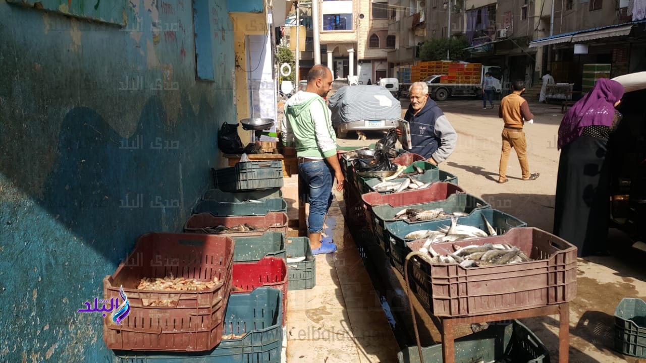 منشآت غذائية بالدراسات