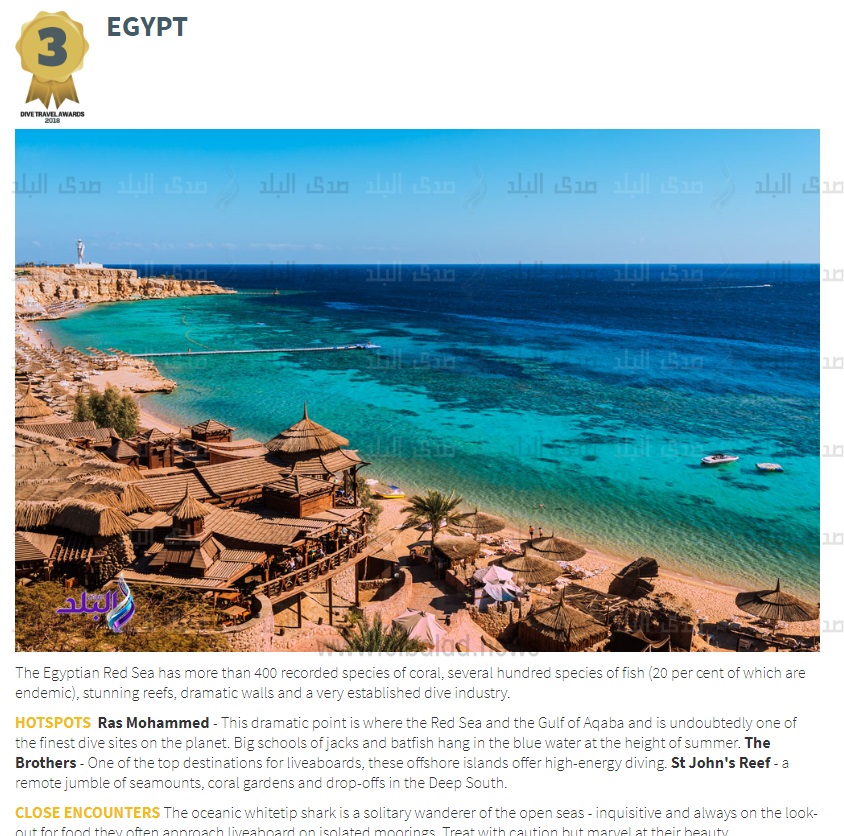 مجلة "DIVE MAGAZINE" مجلة "DIVE MAGAZINE"