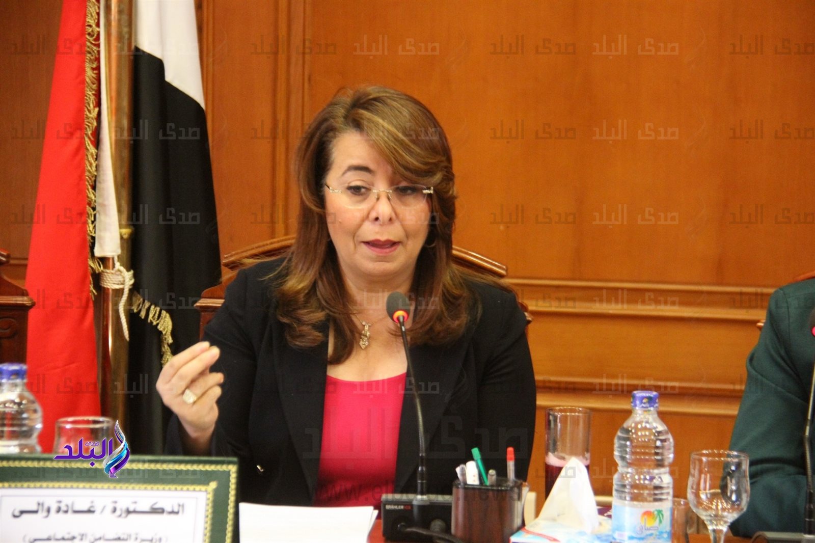وزيرة التضامن وزيرة التضامن