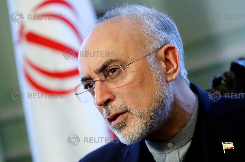  رئيس منظمة الطاقة الذرية الإيرانية