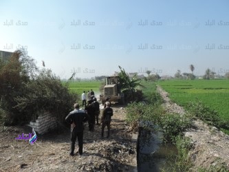 حملة إزالات على الاراضى الزراعية