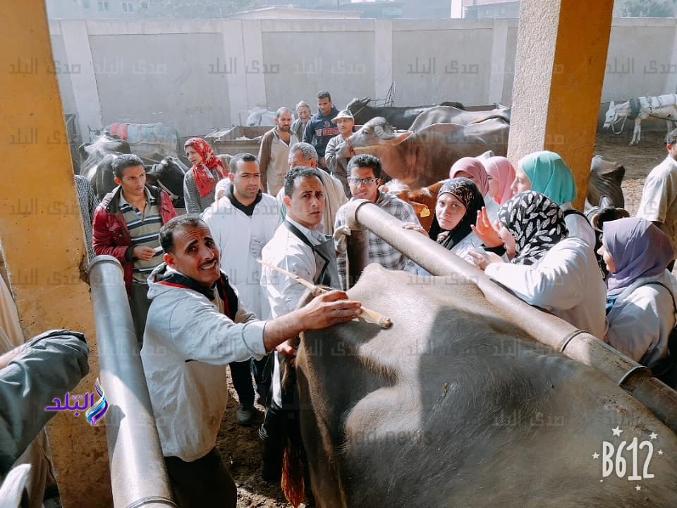 قافلة جامعة بنها البيطرية بقرية الشموت