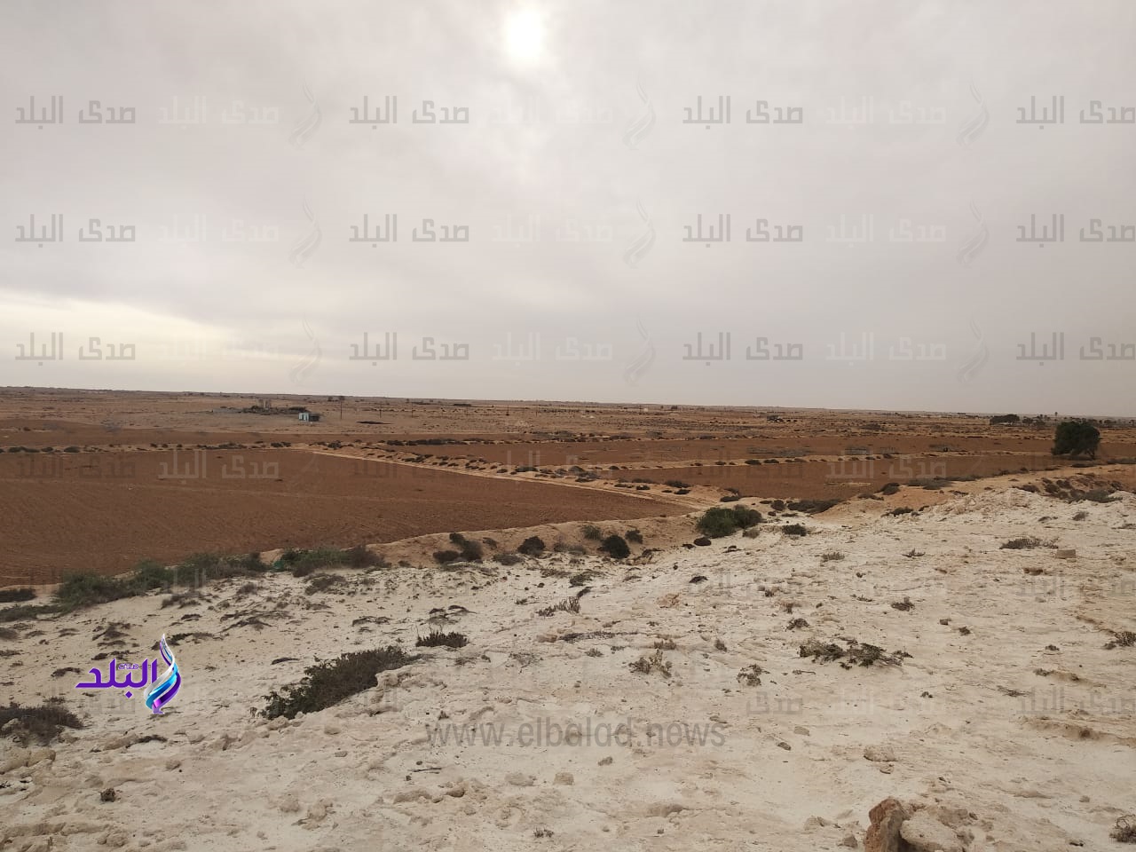 تطهير 100 بئر بمطروح تطهير 100 بئر بمطروح