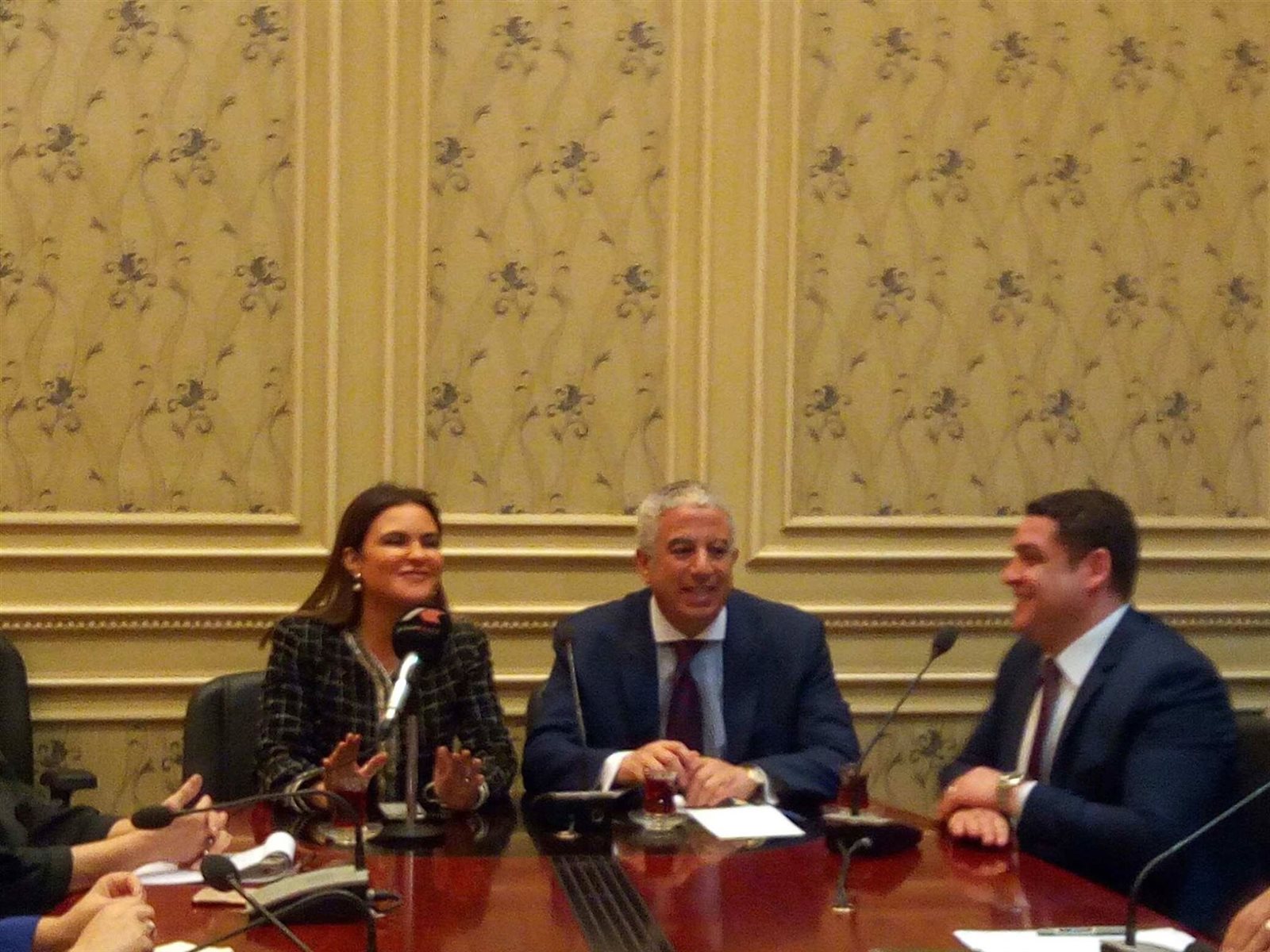 الدكتورة سحر نصر، وزيرة الاستثمار والتعاون الدولى