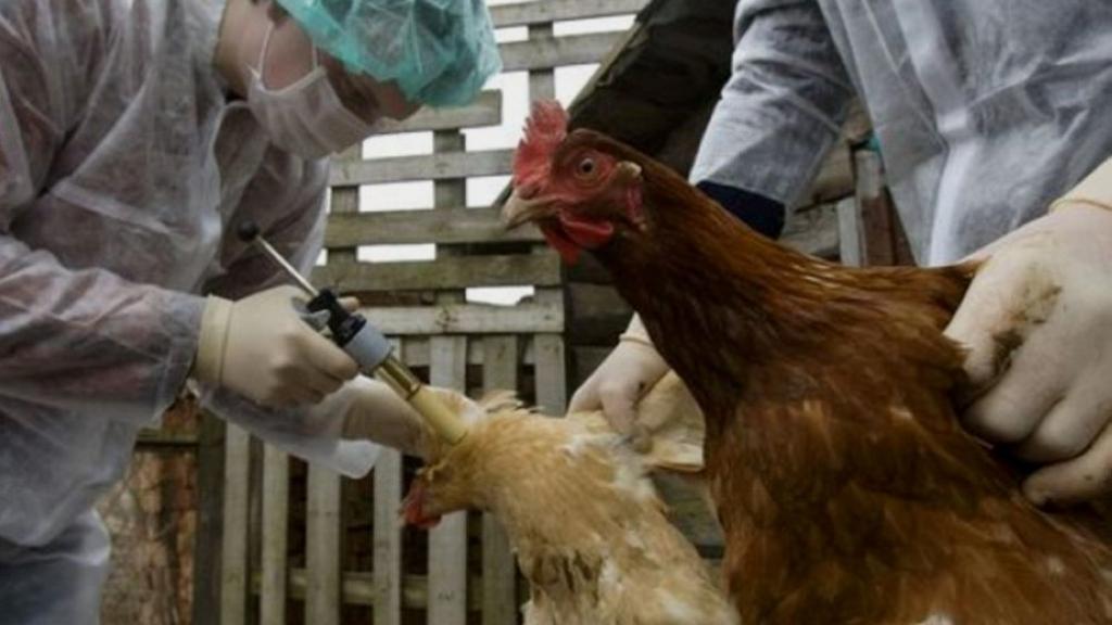 صورة أرشيفية صورة أرشيفية