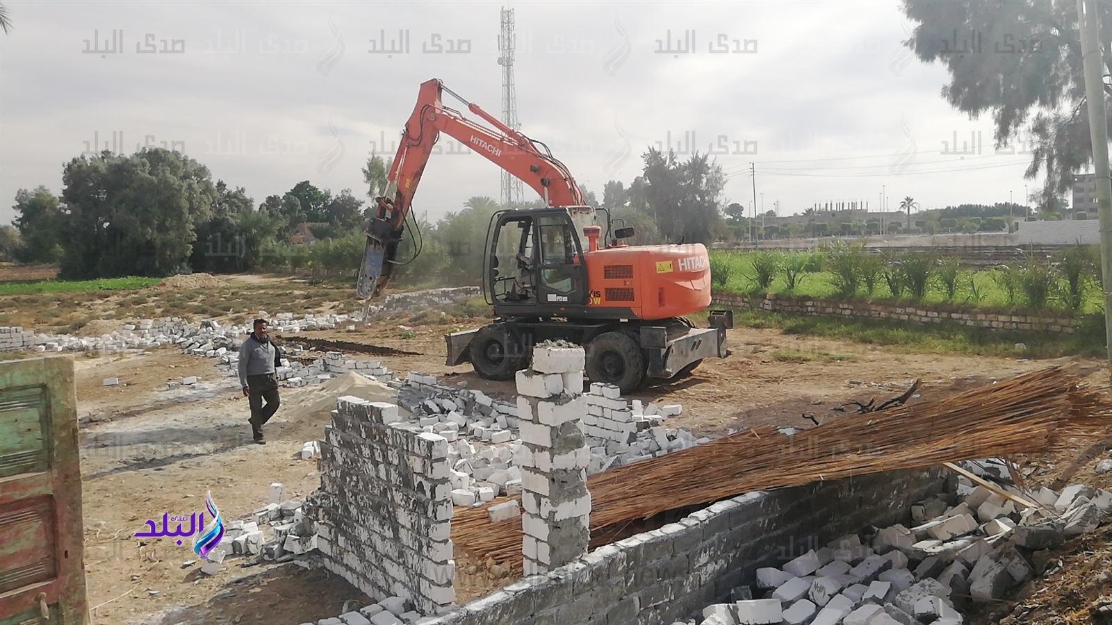 إزالة 56 حالة تعدى على الأراضى الزراعية وأملاك الدولة 