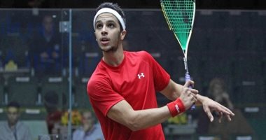 محمد أبو الغار 