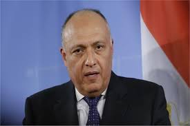 سامح شكري وزير الخارجية 