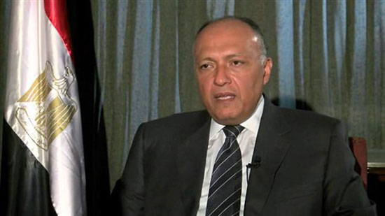 الدكتور سامح شكرى وزير الخارجية