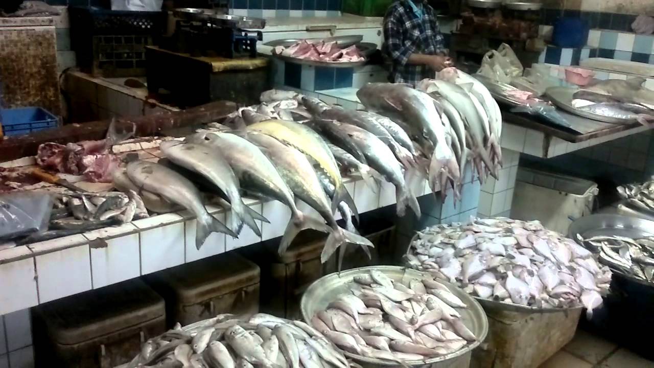 صورة أرشيفية صورة أرشيفية
