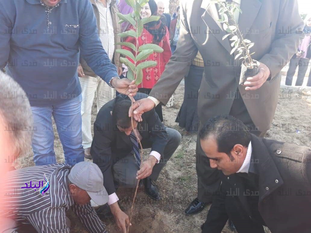 مبادرة "هنجملها" مبادرة "هنجملها"