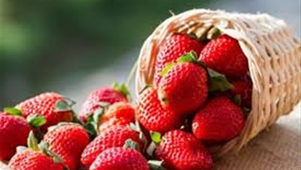 صورة ارشيفية صورة ارشيفية