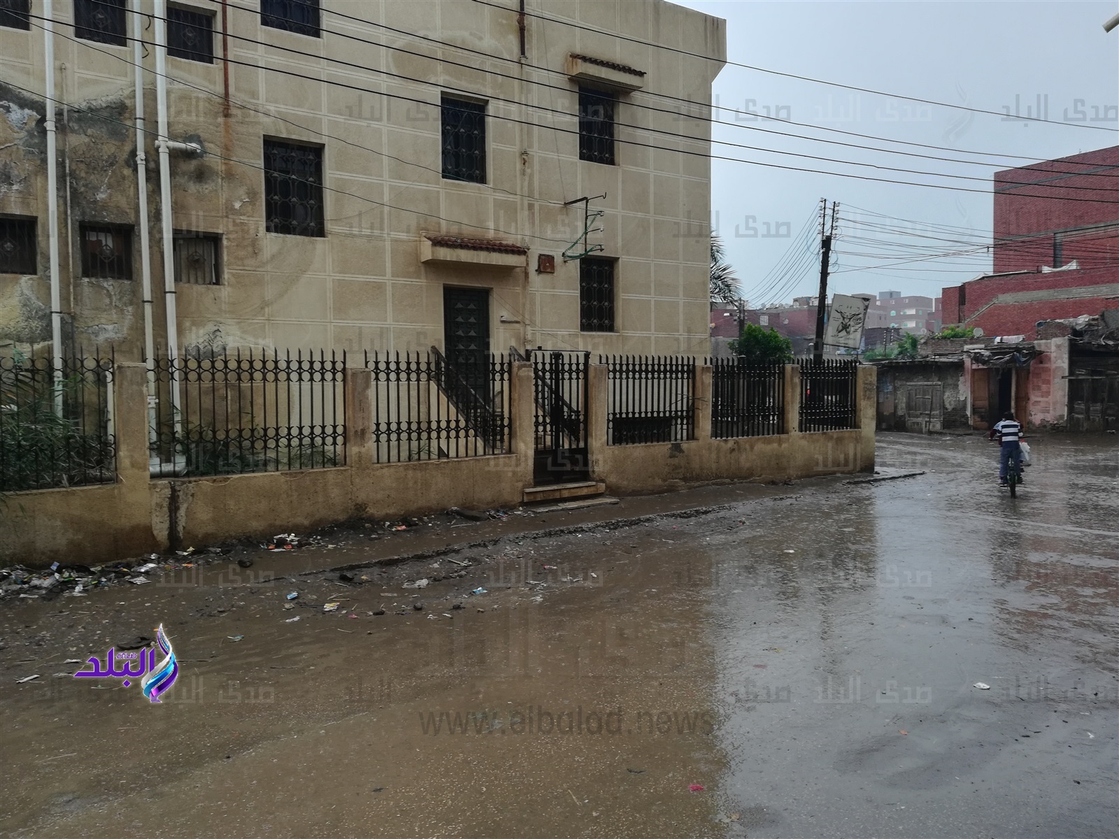 مطار غزيرة تضرب مدن وقرى كفر الشيخ مطار غزيرة تضرب مدن وقرى كفر الشيخ