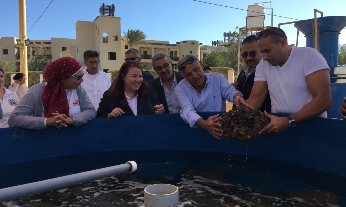 الوكالة الأمريكية للتنمية تدعم السياحة في مصر   الوكالة الأمريكية للتنمية تدعم السياحة في مصر