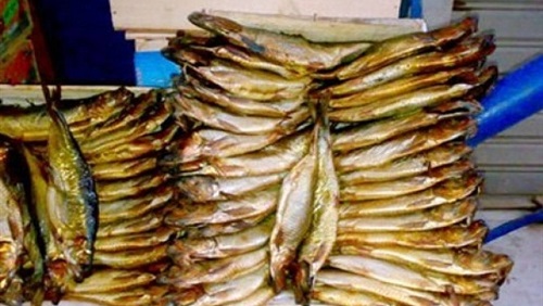 صورة أرشيفية - رنجة 