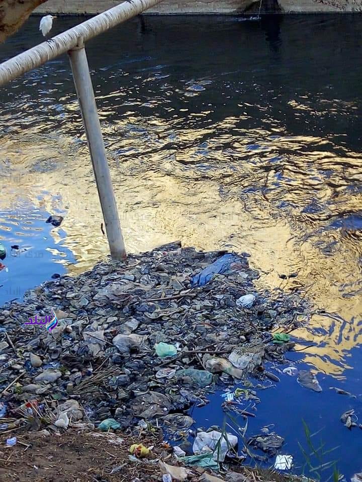 مصرف بحر البقر مصدر للأمراض والتلوث مصرف بحر البقر مصدر للأمراض والتلوث