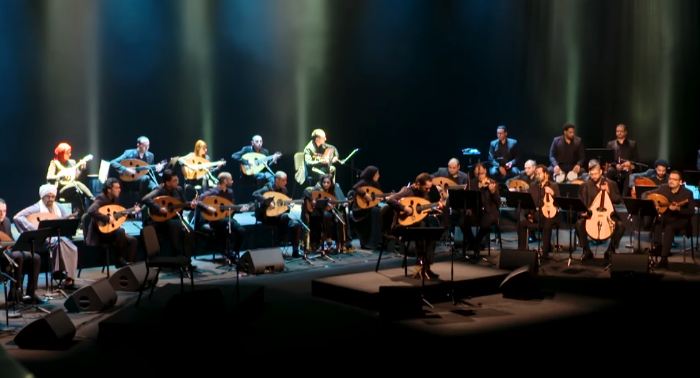 صورة من الفيديو 