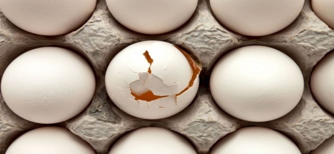  صورة أرشفية 
