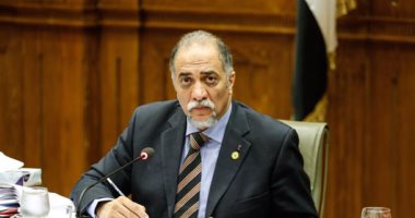 عبد الهادي القصبي- رئيس لجنة التضامن عبد الهادي القصبي- رئيس لجنة التضامن