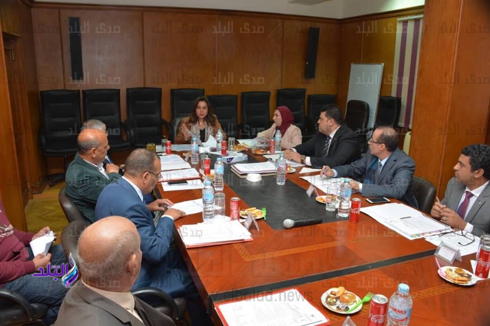 الدكتورة منال عوض محافظ دمياط