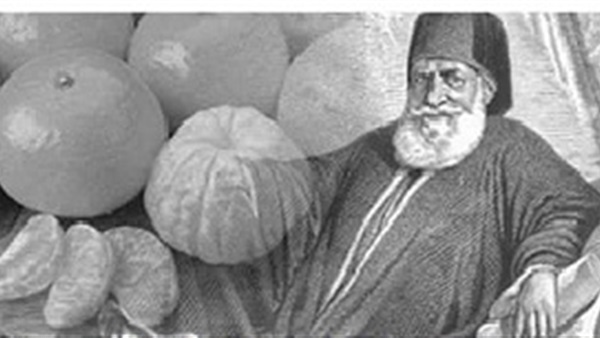 قصة اليوسفي ومحمد علي باشا
