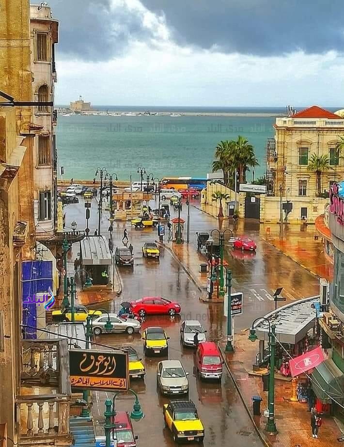 أمطار غزيرة تضرب الإسكندرية