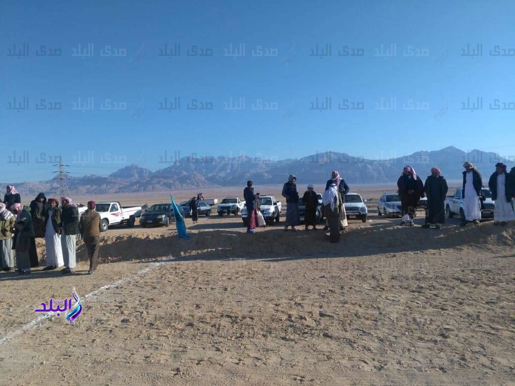 سباق الهجن بطور سيناء