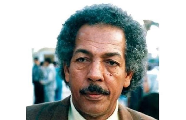 الشاعر الدكتور محمد أبو دومة