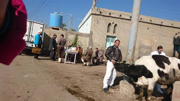 صورة أرشيفية 