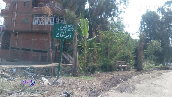 قرية ابونجاح بالشرقية