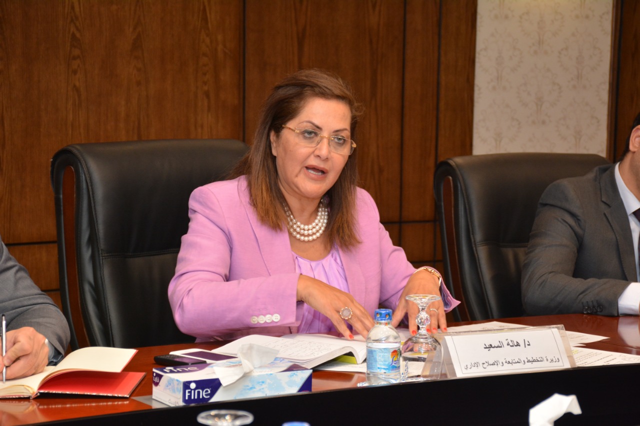 وزيرة التخطيط