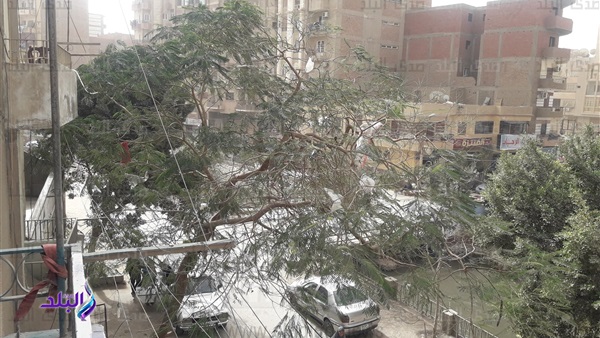 عاصفة ترابية شديدة