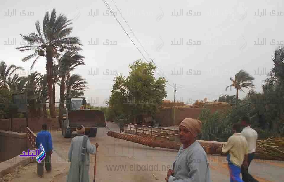 رفع درجة الاستعداد بالأقصر