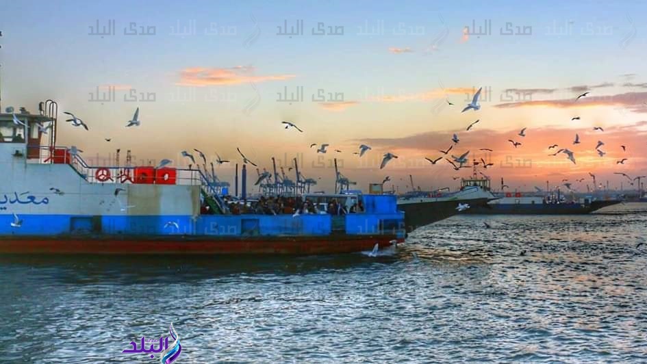 حركة السفن بموانئ بورسعيد حركة السفن بموانئ بورسعيد