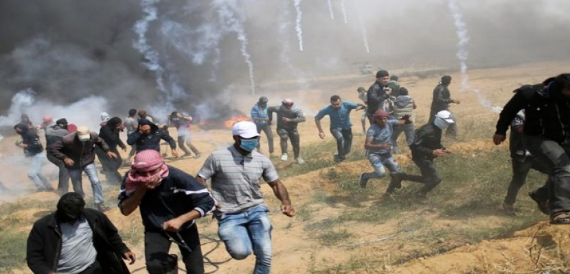 صورة ارشيفيه صورة ارشيفيه
