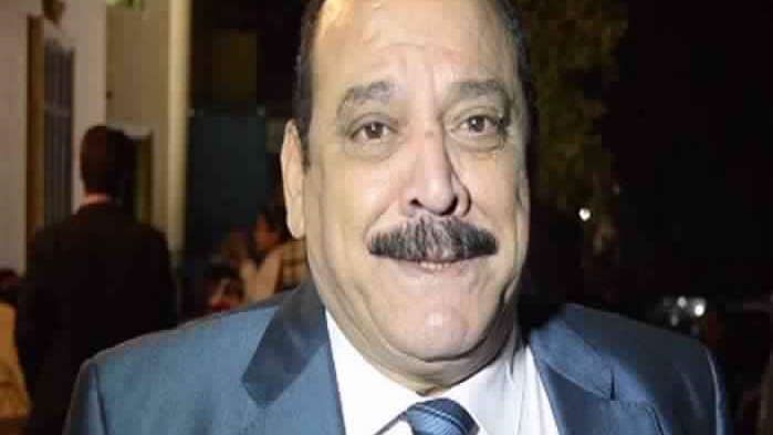 ضياء الميرغني 