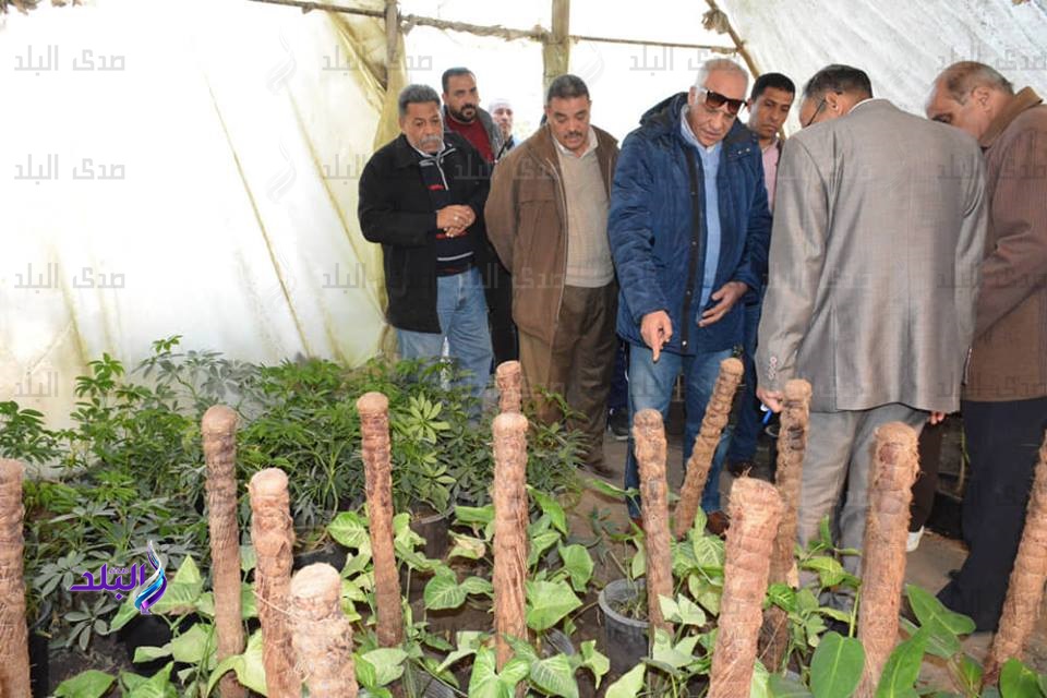 مشتل للزهور والنباتات لوحدات إنتاجية بالجيزة