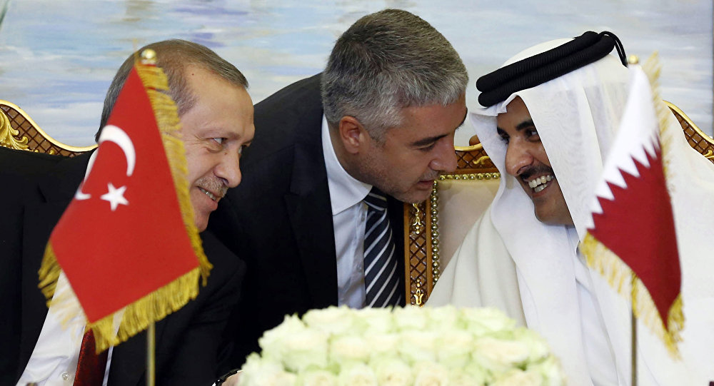 تميم تحت وصاية أردوغان