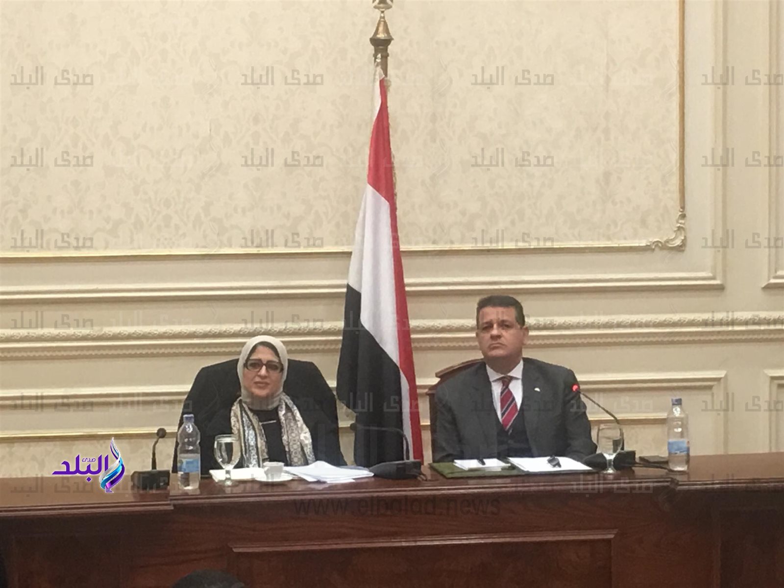 وزيرة الصحة الدكتورة هالة زايد 