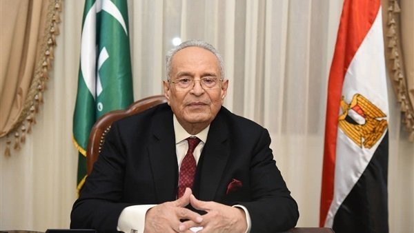 المستشار بهاء أبو شقة رئيس حزب الوفد